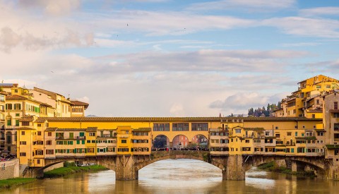 Michelangelo's David Virtual Tour: The Genius of Renaissance Florence - image 4