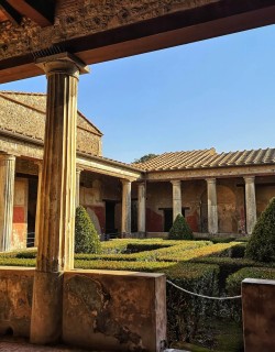 Pompeii Day Trip from Rome by Fast Train and Car Service