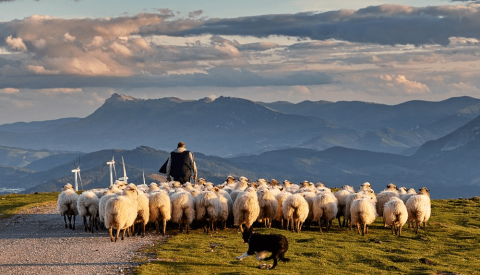 Abruzzo Virtual Tour: On the Trail of Medieval Monasteries and Mountain Towns - image 2