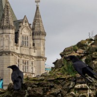 Meet the brooding ravens who guard the Tower of London
