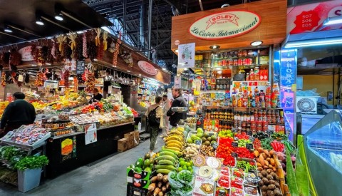 Custom Private Tour of Barcelona - image 3