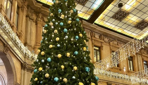 A Private Christmas Stroll in Rome: Festive Fun in the Eternal City - image 3