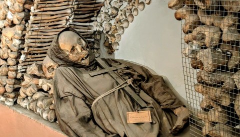 Catacombs of Rome And Capuchin Crypt Tour with Transportation - image 1