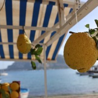 Palermo Half Day Excursion - image 7