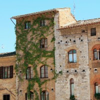 Volterra & San Gimignano with Olive Oil Tasting - image 6