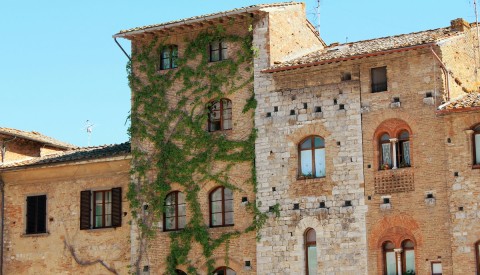 Chianti and San Gimignano: Exclusive Wine and Art Tour - image 1