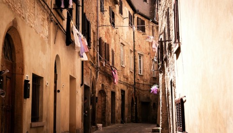 Volterra & San Gimignano with Olive Oil Tasting - image 3