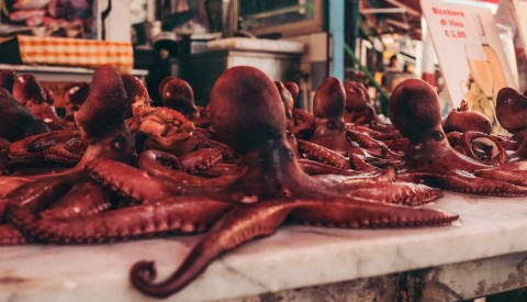 Palermo Half Day Excursion - image 4