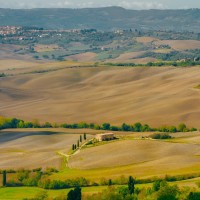 Pienza & Montepulciano Tour with Wine Tasting and Farm Lunch - image 7