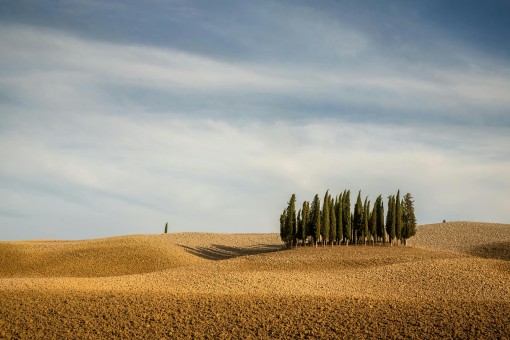 Bolgheri and The Super Tuscans Private Wine Tour