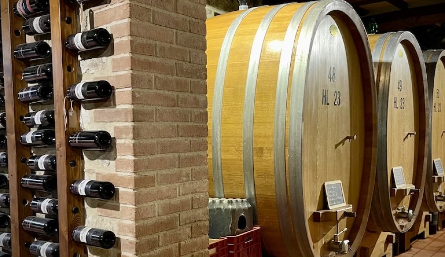 Pienza & Montepulciano Tour with Wine Tasting and Farm Lunch