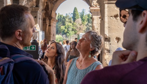 Ultimate Colosseum Semi-Private Tour with Roman Forum & Palatine Hill - image 2